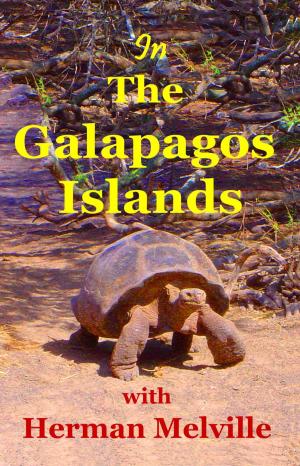 Book cover of In the Galapagos Islands with Herman Melville