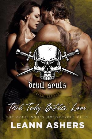 Book cover of Devil Souls MC Bundle: Books 1-4