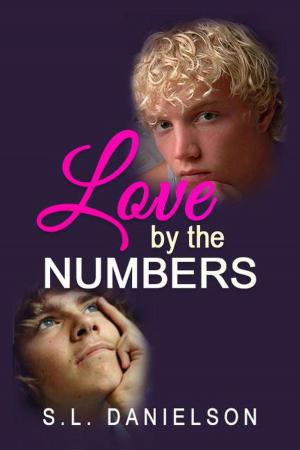 Book cover of Love by the Numbers