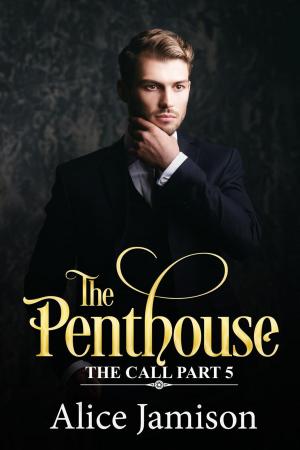 Cover of the book The Penthouse The Call Part 5 by Agnès Massion