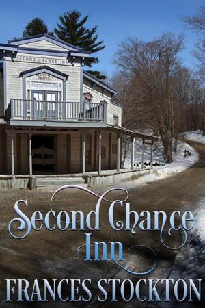 Book cover of Second Chance Inn
