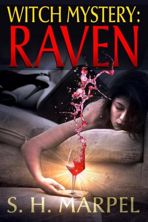 bigCover of the book Witch Mystery: Raven by 