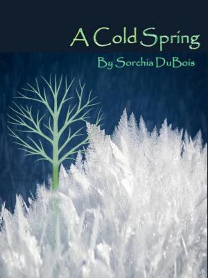 Book cover of A Cold Spring