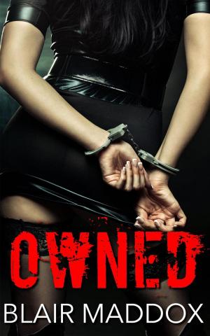 Cover of the book Owned by Tiya Miles