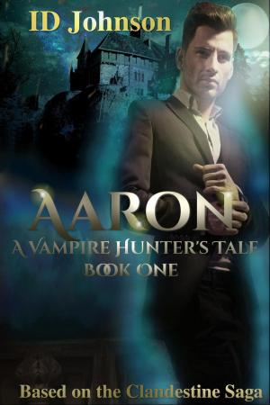 Cover of the book Aaron by Nathan Gallizier