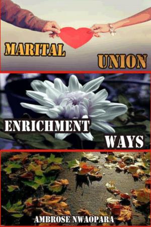 Cover of the book Marital Union Enrichment Ways by Michael V. Lupo