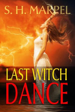 bigCover of the book Last Witch Dance by 