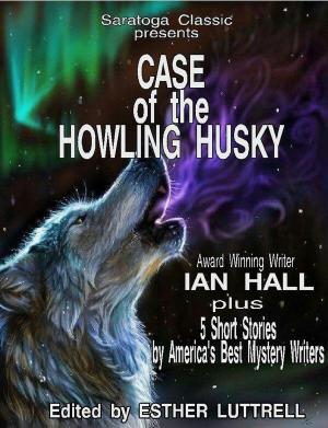 Book cover of Case of the Howling Husky