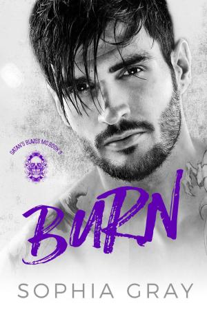Cover of the book Burn by Heather West