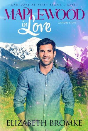 Cover of the book Maplewood in Love by Rachael Herron