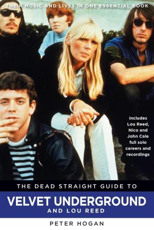 Book cover of The Dead Straight Guide to Velvet Underground & Lou Reed