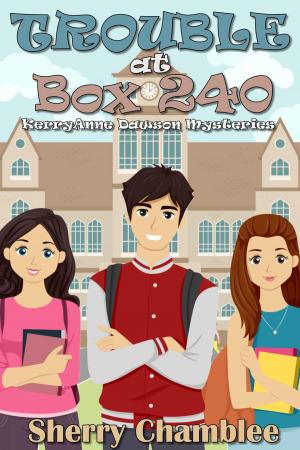 Cover of the book Trouble at Box 240 by Jordan Dane