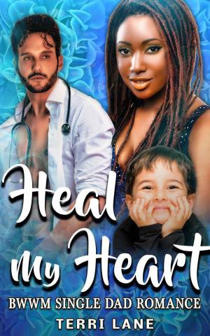 Cover of the book Heal My Heart : BWWM Single Dad Romance by Leslie DuBois