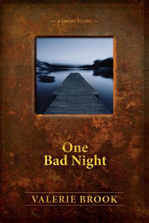 Cover of the book One Bad Night by Valerie Brook