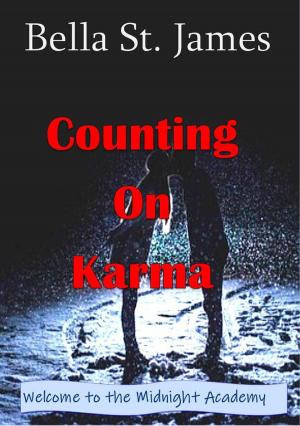 Book cover of Counting On Karma