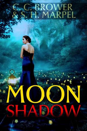 bigCover of the book Moon Shadow by 