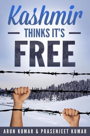 Book cover of Kashmir Thinks It's Free