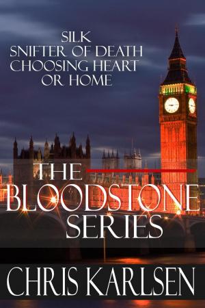 Cover of the book The Bloodstone Series by Marilyn Conner Miles