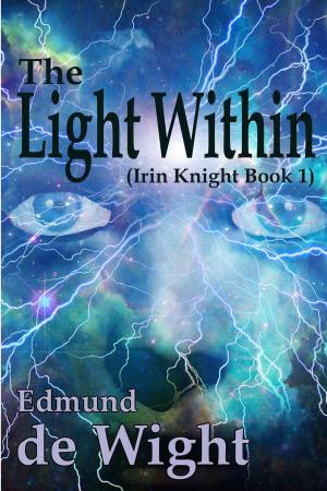 Book cover of The Light Within