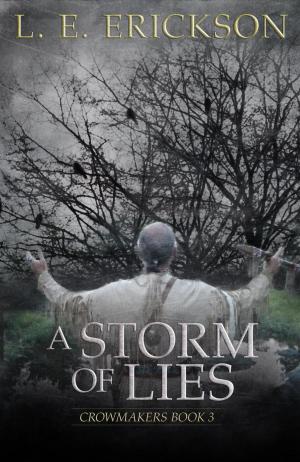 Cover of A Storm of Lies by L. E. Erickson, JMA Publishing