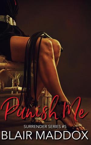 Cover of Punish Me
