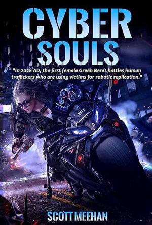 Cover of the book Cyber Souls by Alan Tucker