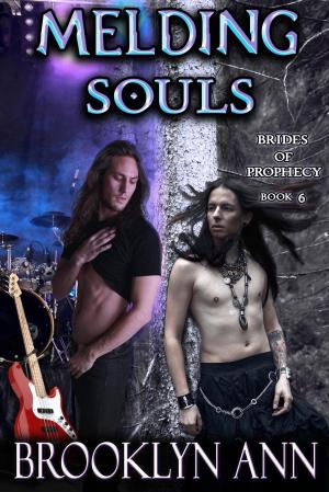 Book cover of Melding Souls