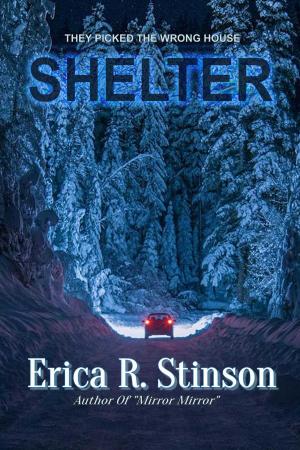 Cover of the book Shelter by Darryl Hurly