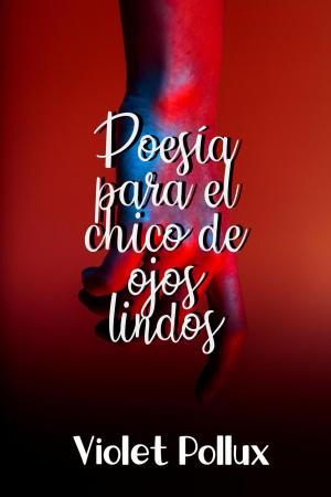 Cover of Poesía para el chico de ojos lindos