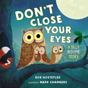 Cover of the book Don't Close Your Eyes by Marla Alupoaicei