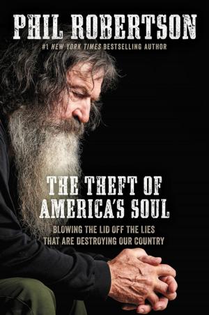 Cover of the book The Theft of America’s Soul by Ted Dekker