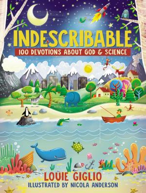 Cover of the book Indescribable by Dan Poynter