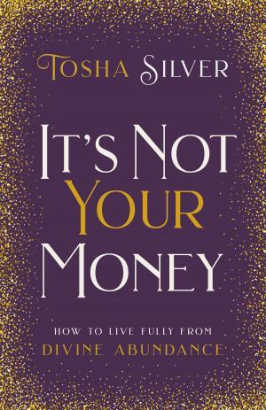 Cover of the book It's Not Your Money by Jesus Roberto Torriani Vargas