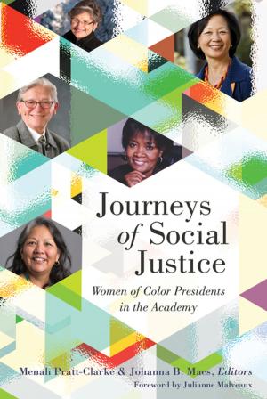 Cover of the book Journeys of Social Justice by Seán Moran