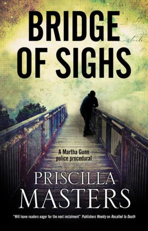 Cover of the book Bridge of Sighs by Simon Brett