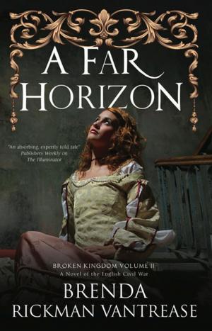 Cover of the book Far Horizon, A by Alys Clare