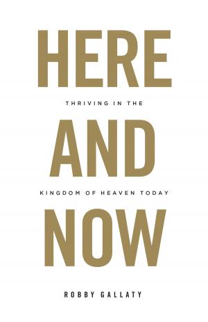 Cover of the book Here and Now by James M. Hamilton, Jr.