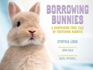 Cover of the book Borrowing Bunnies by Tove Jansson