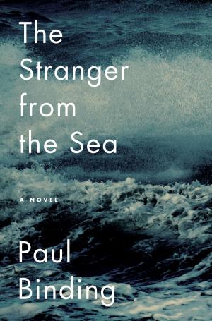 Cover of the book The Stranger from the Sea by Penny Vincenzi