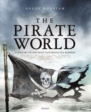 Cover of the book The Pirate World by Matthew Battles
