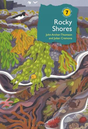 Cover of the book Rocky Shores by Jimmy Burns