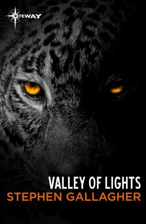 Cover of the book Valley of Lights by Garry Kilworth