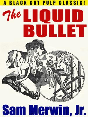 Book cover of The Liquid Bullet