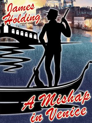 Cover of the book A Mishap in Venice by Susan Brassfield Cogan