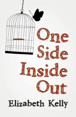 Cover of the book One Side Inside Out by Theodor Storm