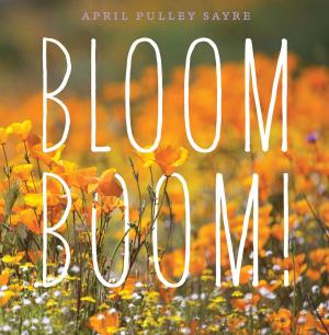 Cover of the book Bloom Boom! by Lauren Rille