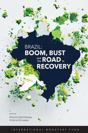 Cover of the book Brazil by Ashoka Mr. Mody