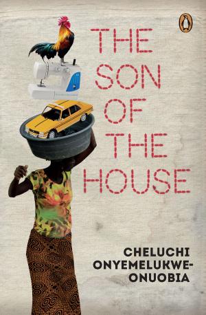 Cover of the book The Son of the House by Richard Thompson