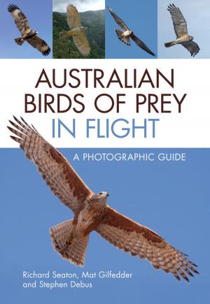 Cover of the book Australian Birds of Prey in Flight by Elke Haege, Simon Leake