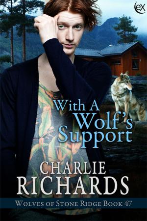 Cover of the book With a Wolf's Support by A.J. Llewellyn